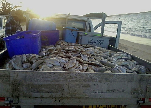 Netters gloat as slaughter continues